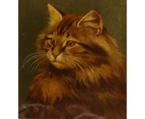 J or A Wheeler?  Portrait of a tabby cat, oil, signed to lower left corner and dated 1900?  (19cxm x 18cm) glazed in a gilt f