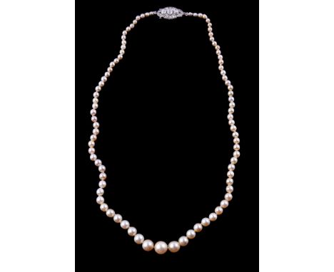  A cultured pearl necklace,   composed of graduating cultured pearls, measuring 0.3cm to 0.8cm, on a knotted thread, to the c