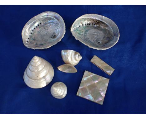 TWO POLISHED 'TOP' SHELLS, OTHER SHELLS and a mother-of-pearl card case (a/f)