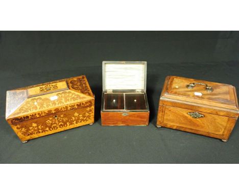 AN EARLY VICTORIAN AMBOYNA AND ROSEWOOD SARCOPHAGUS SHAPED TEA CADDY inlaid with floral ornament, the interior with two lidde