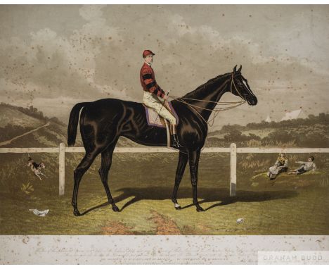 Maclure &amp; Macdonald (Engravers to the Queen, Glasgow)
IROQUOIS, THE FIRST AMERICAN RACEHORSE TO WIN THE EPSOM DERBY, 1881