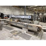 TecnoMbM Lucidacoste Modena Flat Edge Polishing Machine | YOM: 2007