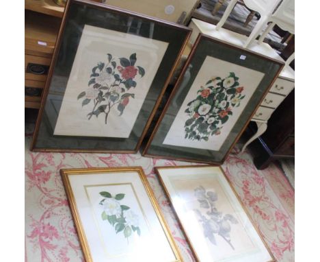 FOUR VINTAGE FLORAL PRINTS each decoratively mounted, glazed and framed 