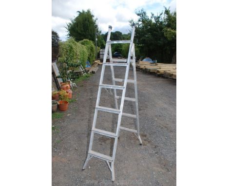 A Metamorphic set of aluminium step ladders.