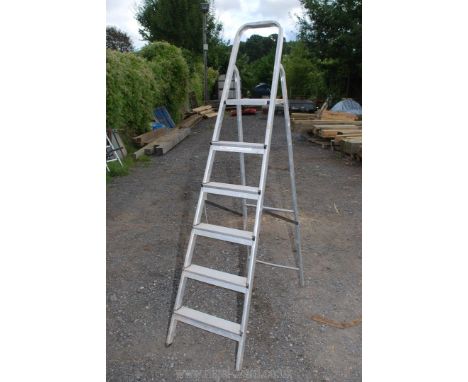 Five rung aluminium step ladder.