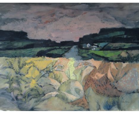 JOHN ELWYN gouache - landscape with distant farm entitled 'Late August Evening Light', signed, 33 x 44cms Provenance: purchas