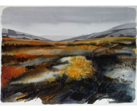 JOHN CLEAL watercolour - expansive landscape with grass land in a valley basin, signed, 58 x 77cms
