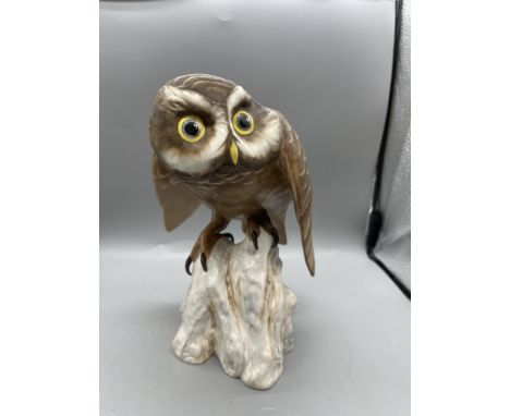 Spode Bone China England - Little Owl - Athene Noctua 
Good condition