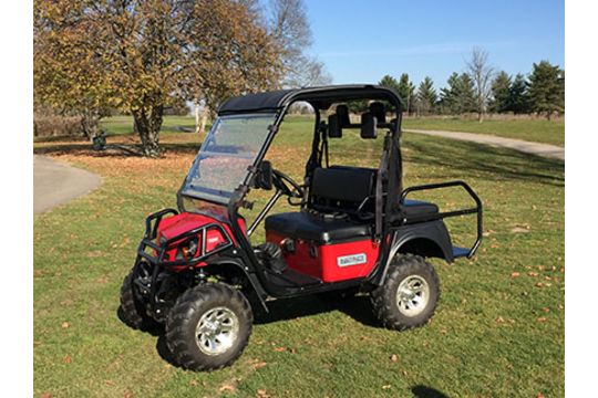buggies 2014