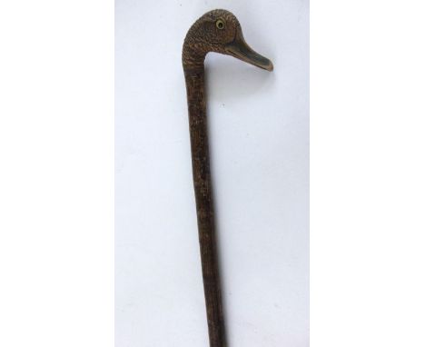 A one piece walking stick, the handle carved in the form of a ducks head with inquisitive expression and with glass eyes