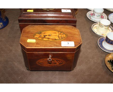A 19th Century mahogany and conch shell inlaid two compartment tea caddy 