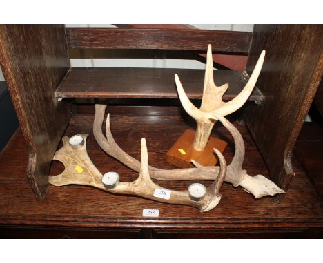 Three antlers, one converted to a tea light holder