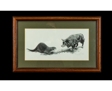 Limited Edition Print By William Geldart Black and white print depicting a Border Collie confronting an otter. Framed and mou