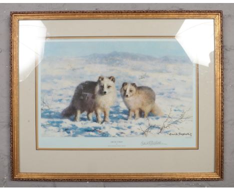 A signed limited edition David Shepherd print, Arctic Foxes, blind stamp for Soloman &amp; Whitehead. (25cm x 36cm).  