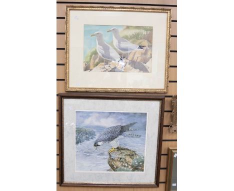 A collection of prints depicting birds comprising: 1. after Dick Twinney, Peregrine Falcon, framed 2. Robert Bateman, Eagle, 