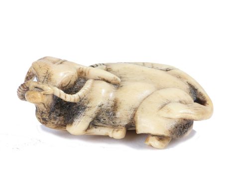Japanese Edo period netsuke, the bone netsuke depicting a recumbent Ox with halter to it's nose, 6cm across