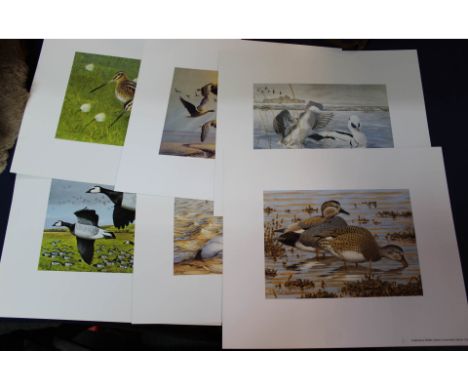 Eight wildlife 'Habitat Trust' prints of game birds and wild fowl (unframed)