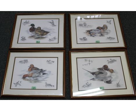 A set of four Nigel Hemming prints of various ducks, each 12" x 15", framed and glazed