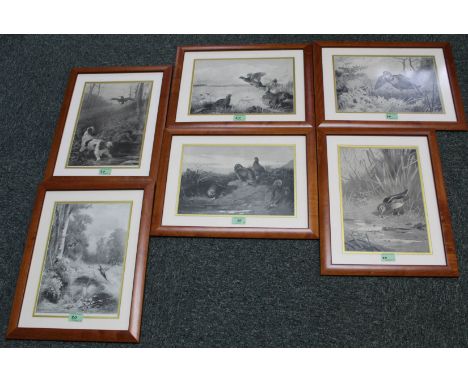 A set of six game bird prints by Archibald Thorburn, all framed and glazed