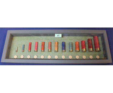 A modern 'collectors' shotgun cartridge board displaying various bores, up to 4 bore, this item can only be purchased by some