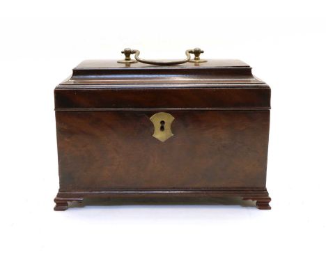 A George lll mahogany tea caddy, with moulded edge hinged lid on later ogee feet, the interior with three painted and marbled