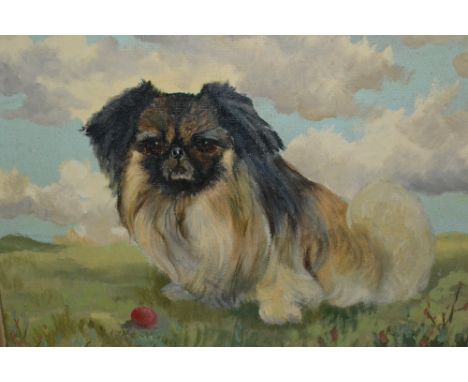 David Vivians, signed oil, portrait of a Pekinese in a landscape, 14ins x 17ins