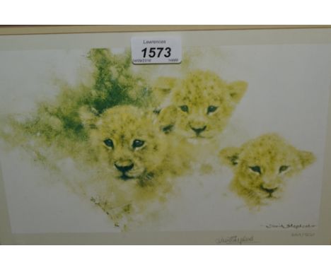David Shepherd, signed Limited Edition colour print, ' Lion Cubs ', No. 649 of 850 (faded)