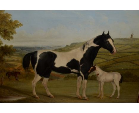 Harriette Harkness, oil on canvas, portrait of horses in a landscape, inscribed verso ' Magpie ', height 14 - 2, the property
