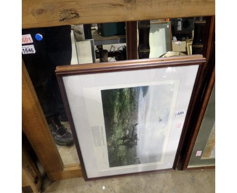Limited edition David Shepherd print Falklands 735/850, 70 x 50 cm. Not available for in-house P&amp;P