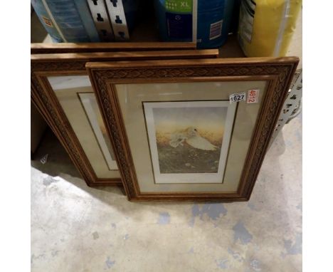 Free framed John R. Morris prints, 24 x 40 cm. Not available for in-house P&amp;P