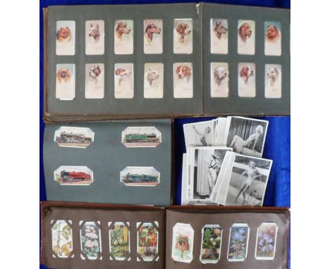 Cigarette cards, a quantity of cigarette cards in 6 vintage albums , sleeves, one photo album and loose, various manufacturer