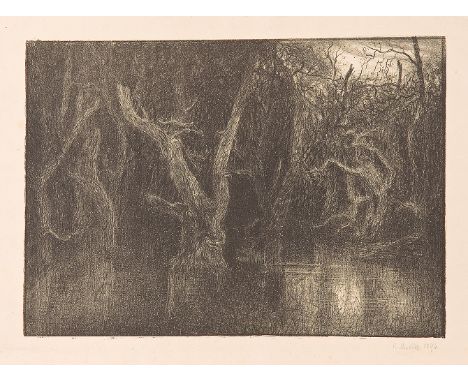 KARL MEDIZ (Wien 1868 - 1945 Dresden)Dunkler Wald, 1896Lithografie/Papier, 28,3 x 40 cmsigniert K. Mediz, datiert 1896SCHÄTZP