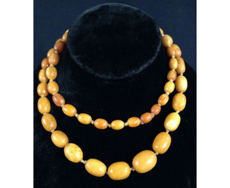 A graduated butter scotch amber bead necklace, each oval bead individually knotted ranging from 9mm to 18mm long, 76cm long, 