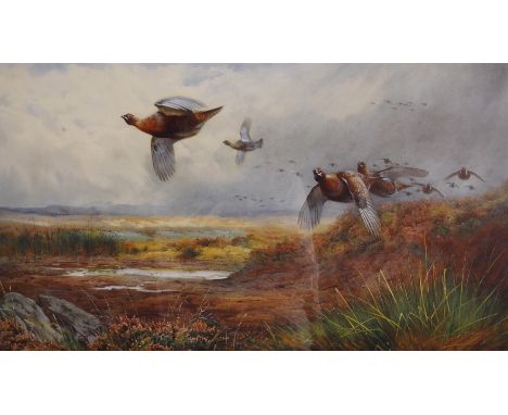 After Archibald Thorburn. Nesting Grouse, Limited Edition Print, 19" x 13", and two further prints After Thorburn (3).