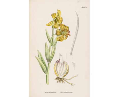 Botany.- Sowerby (John Edward) English Botany; or Coloured Figures of British Plants, 11 vol. only (of 12, lacking vol. 12), 