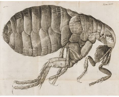 Hooke (Robert) Micrographia: or some Physiological Descriptions of Minute Bodies made by Magnifying Glasses with Observations