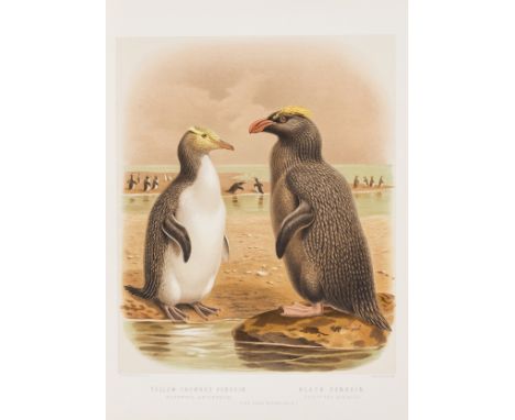 Buller (Sir Walter Lawry) A History of the Birds of New Zealand, 2 vol., second edition, 48 chromolithograph plates after J.G