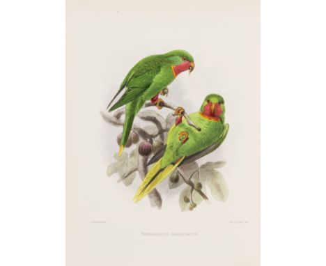 Birds.- Rowley (George Dawson, editor) Ornithological Miscellany, 3 vol., first edition, lithographed frontispieces, 3 maps a