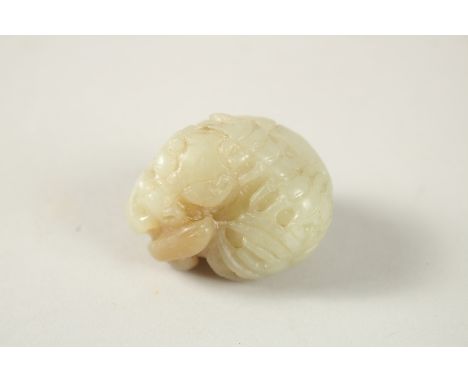 A CHINESE JADE CARVED JADE DRAGON WITH TOAD AND CENTIPEDE, 4.5cm.