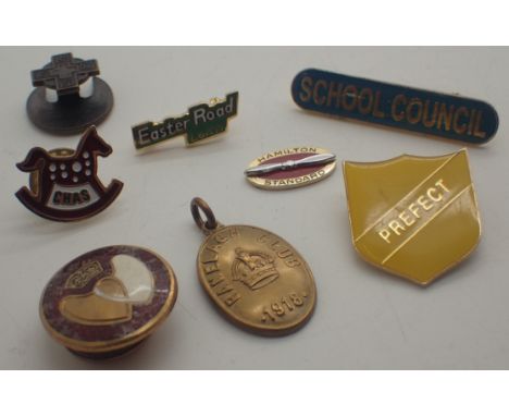 Collection of mixed enamel badges
