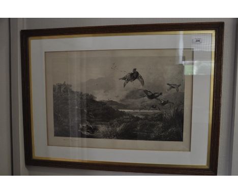 Archibald Thorburn (1860 - 1935) Print of Grouse flush in full flight. Embossed and signed in pencil, framed 90cm x 66cm    