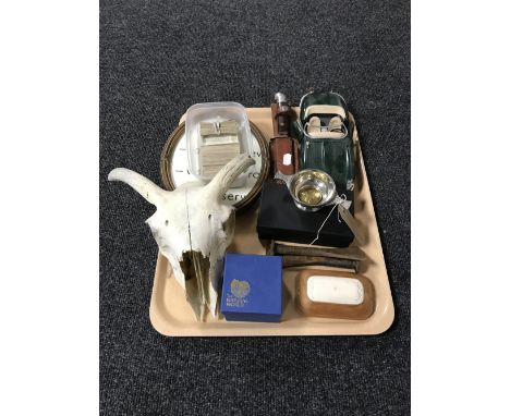 A tray containing a die cast Burago car, Jaguar, boxed pewter Celtic bowl, animal skull, a natural world fossil in box, cigar