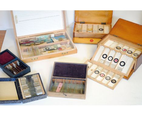 A Large Selection of Microscope Slides, in mahogany cases (a lot)