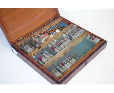 A Large Selection of Microscope Slides, in mahogany case (a lot)