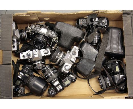 A Selection of Various SLR Cameras, including Nikon F-801, Minolta XG-M and more (a lot)