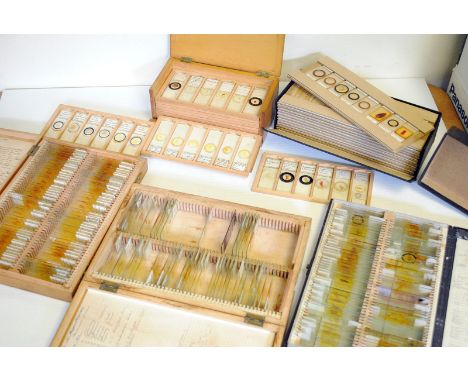 A Large Selection of Various Microscope Slides, in wooden cases (a lot)