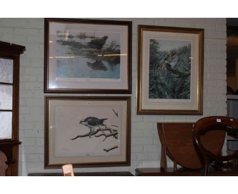 Alan M. Hunt, three works comprising signed artist proof Red-Tailed Hawk, signed limited edition Osprey and Buzzard, Hawk 90c