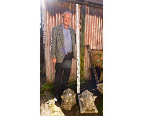 Surveyor's measuring stick
