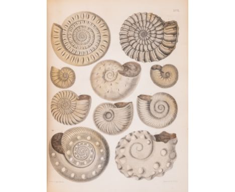 Fossils.- Brown (Captain Thomas) Illustration of the Fossil Conchology of Great Britain and Ireland, first edition, 115 engra