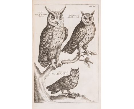 Birds.- Willughby (Francis) Ornithologiae Libri Tres, edited by John Ray, first edition, variant without initial imprimatur l